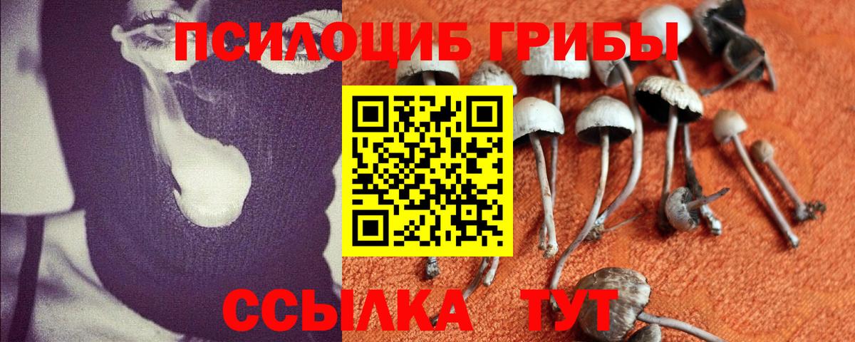 Галлюциногенные грибы MAGIC MUSHROOMS Малоярославец