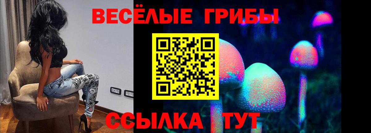 Малоярославец  купить наркотик  Вход с VPN  Галлюциногенные грибы Cubensis 