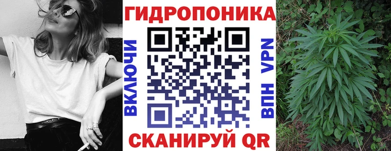 мориарти официальный сайт  Малоярославец  Бошки марихуана конопля 